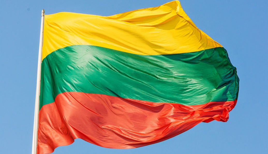 Повернення чоловіків до України: в Литві заявили про готовність допомогти державі